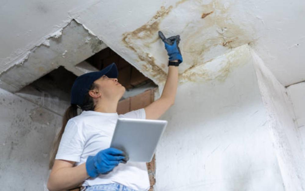 Snagging Vs. Home Inspection: What’s the Difference? Thumbnail